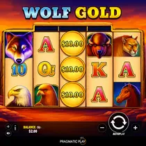 Novibet - Wolf Gold Slot Game - Pragmatic Play Casino